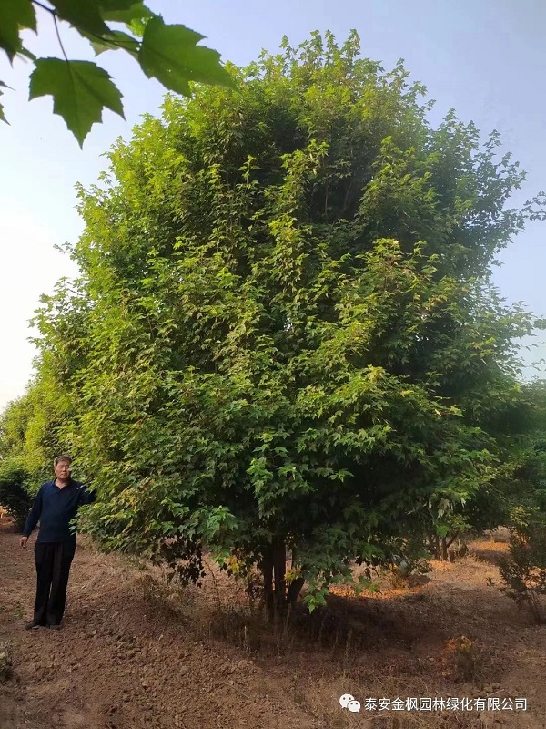 微信圖片_20220723162702 微信圖片_20220723162702